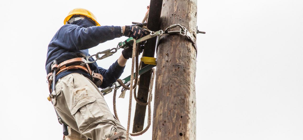 Image of student climbing a utility pole 